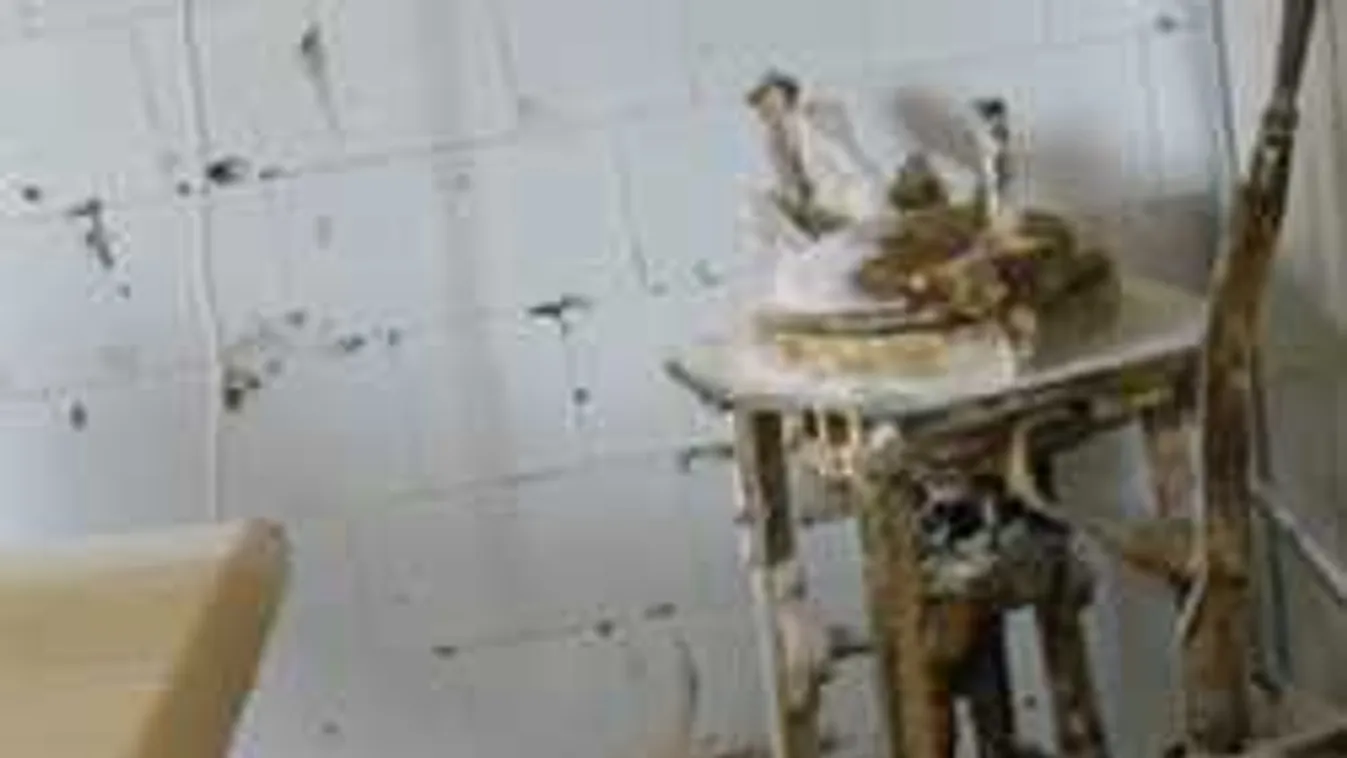 Borzalmas állapotok a budapesti pékségben, penész és egerek mindenütt