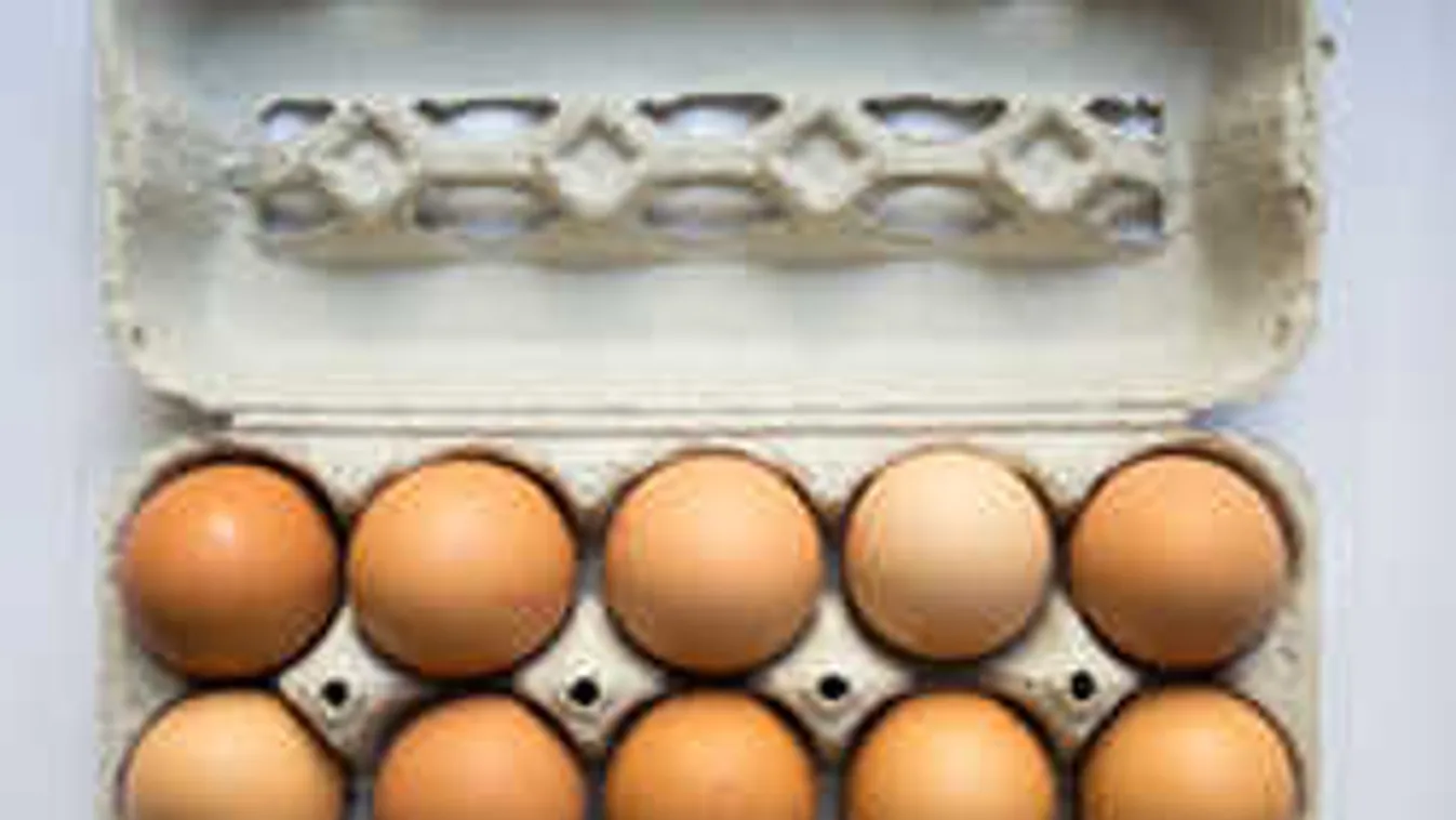 Újabb fordulat a mérgezett magyar tojások ügyében!