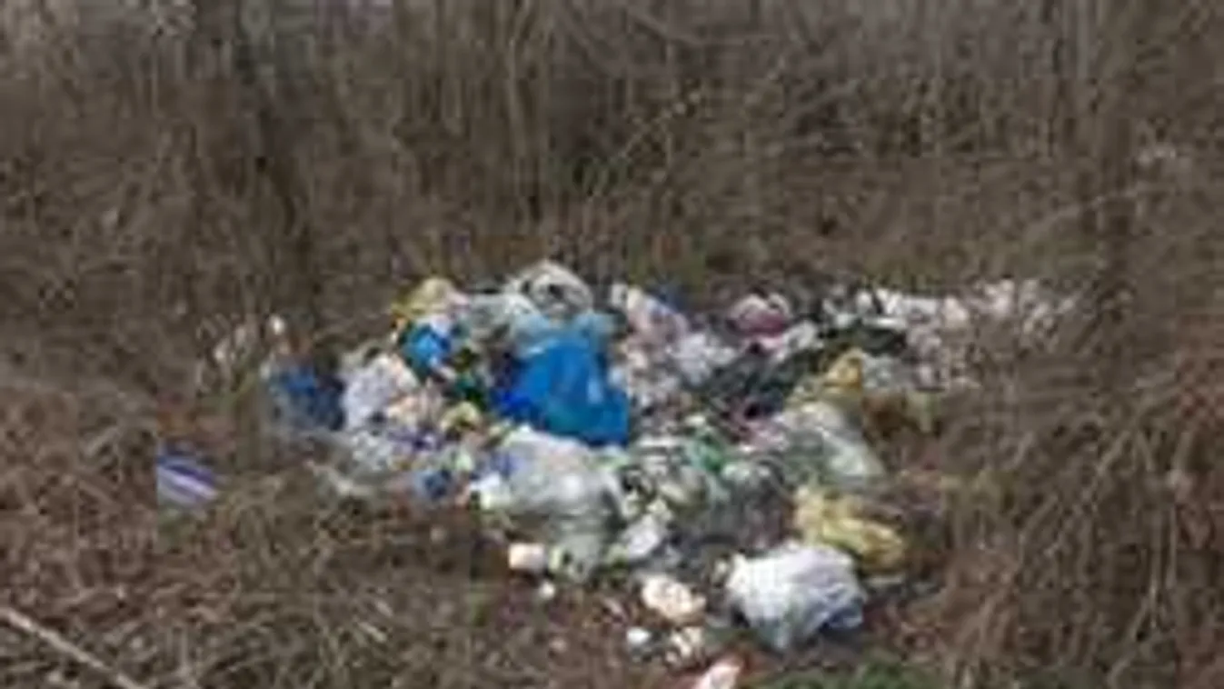 Ezekre az emberekre vadásznak egyre többen Magyarországon