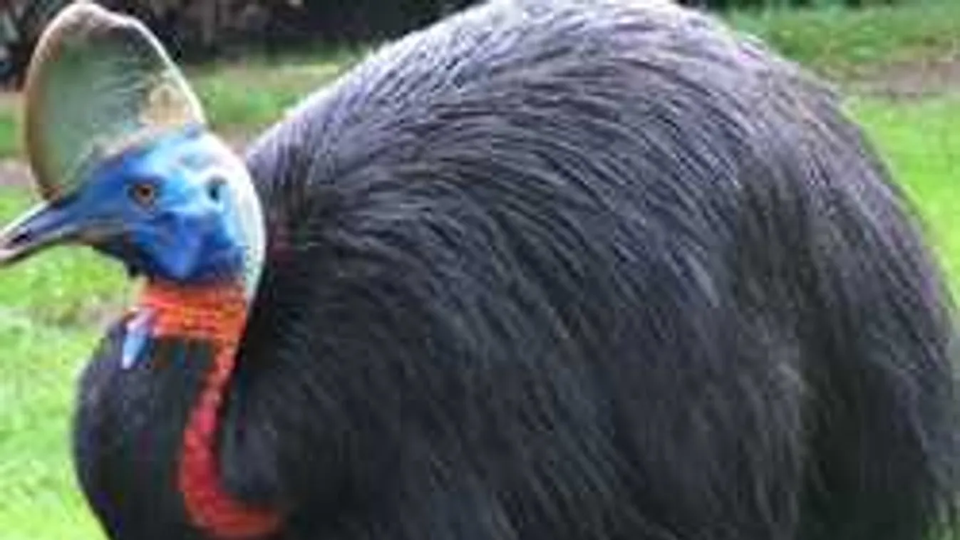 Holtan találták otthonában a férfit, félelmetes, mi végzett vele