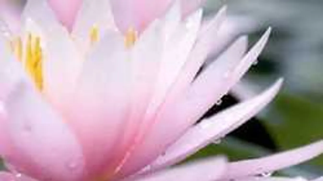 7 spirituális szimbólum, melynek jelentését neked is ismerned kell