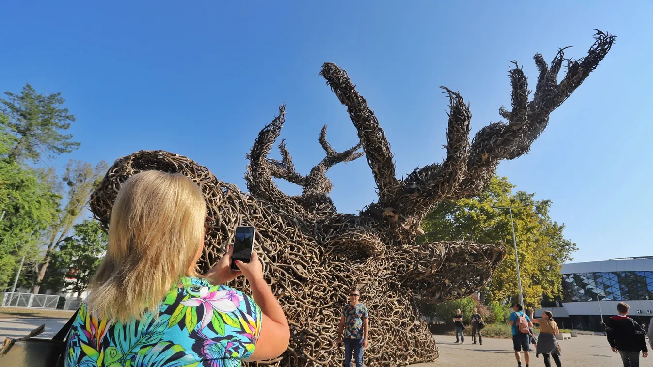 Mindenki csodálattal nézte a Vadászkiállítás monumentális szobrát, a Totemet – videó