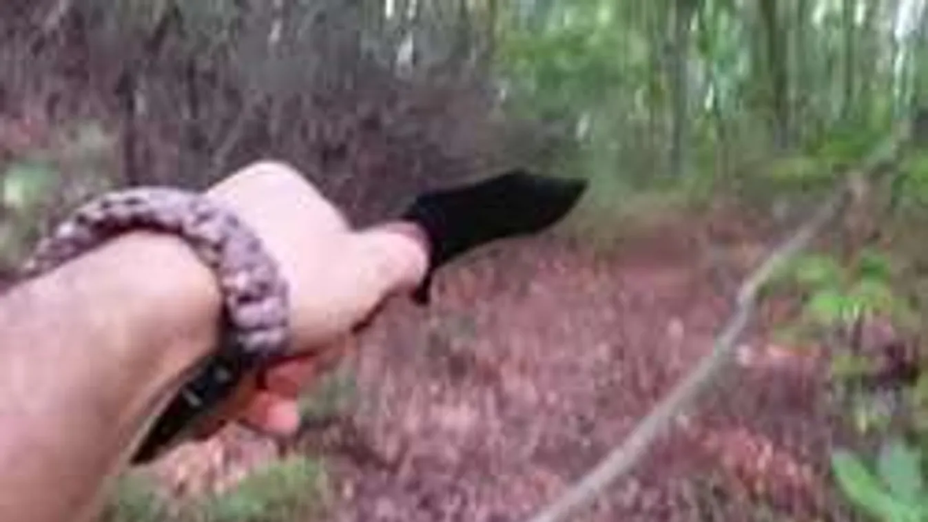 Rémisztő, mire bukkantak a horrorerdőben!