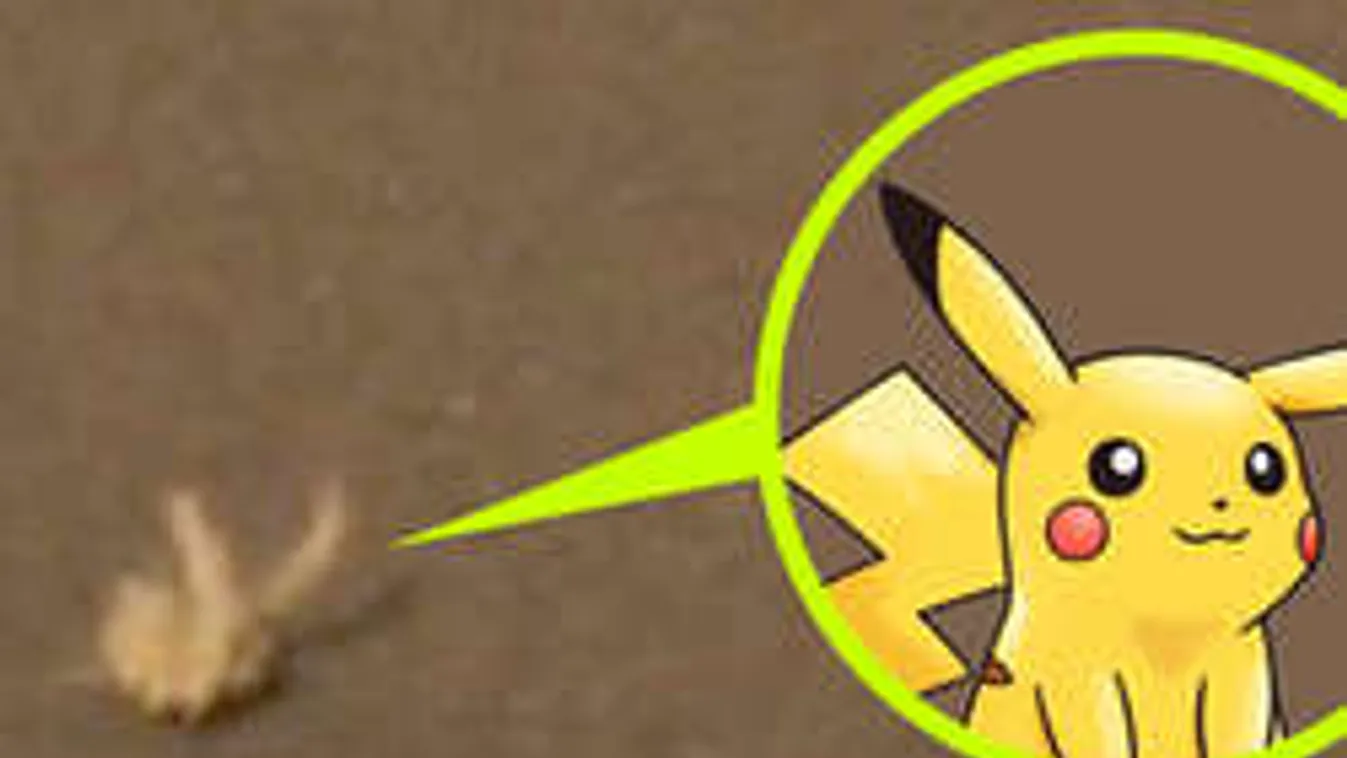 Tiszta őrület: A pokémonok már a Marson is felbukkantak!