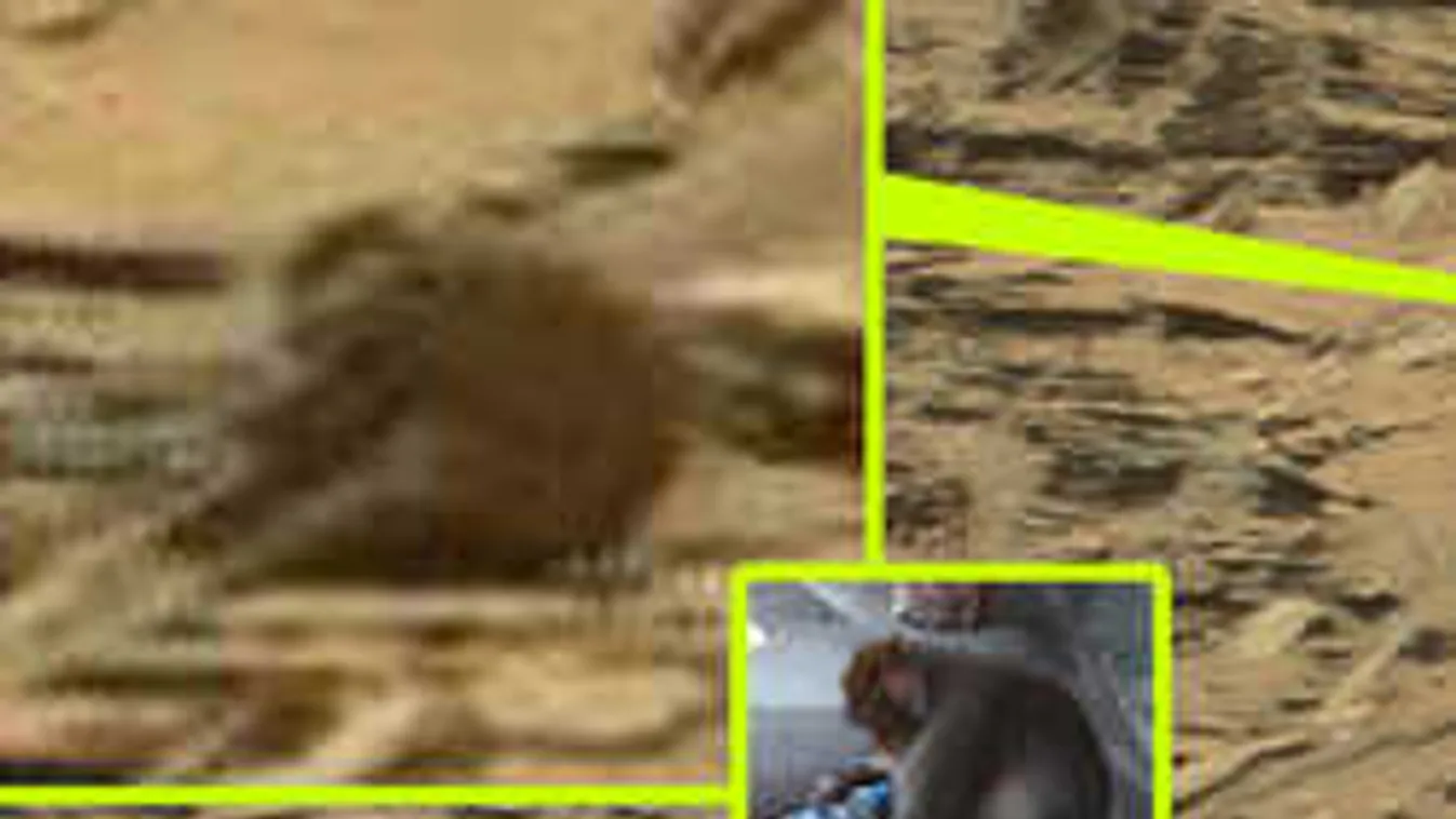 Te elhiszed, amit látsz? Ezen a fotón agyalnak most a netezők