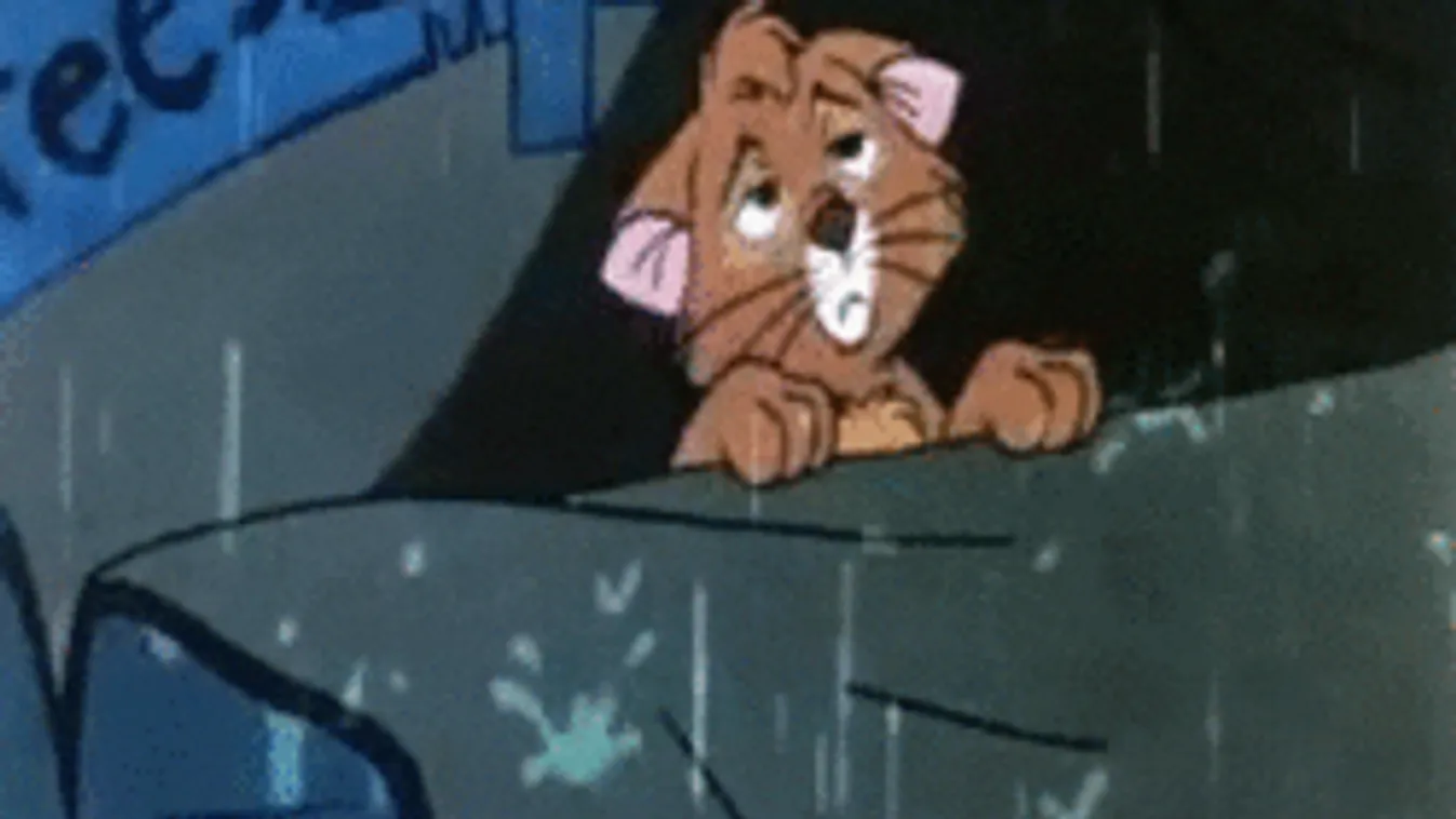 Az egész országra kiadták a riasztást, durva széllel jön a jeges eső