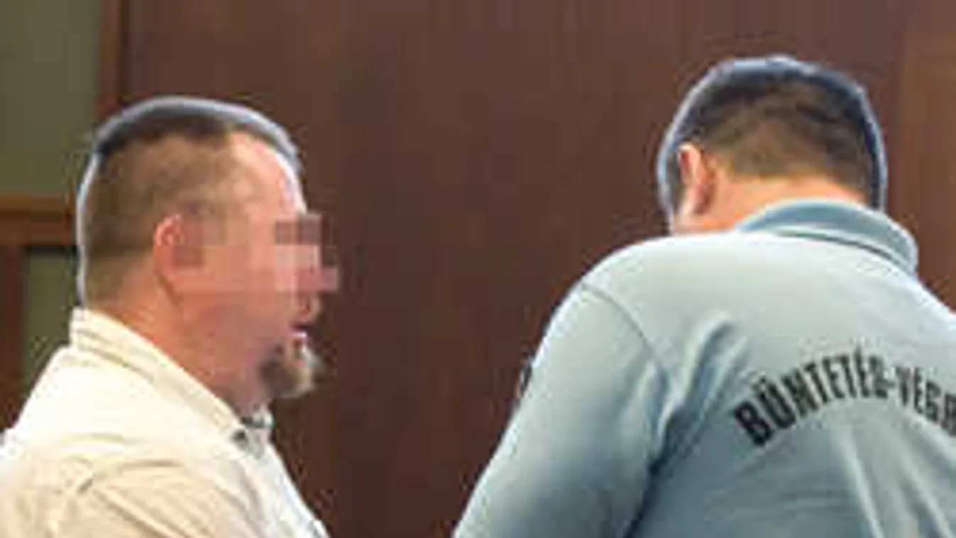 Hidegvérrel ölte meg anyját és nevelőapját a felsőgallai férfi, ezt a büntetést kapta