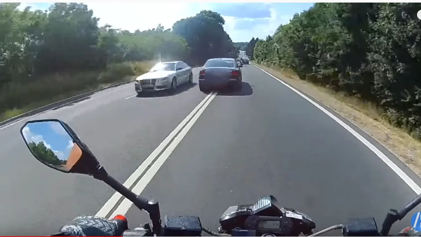 Életveszély: Ekkora barmot még nem láttál a magyar utakon – Videó