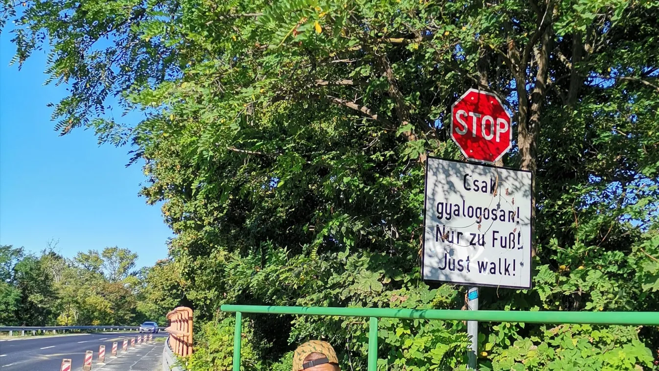 4 nap alatt tekerte körbe a Balatont kerekesszékkel