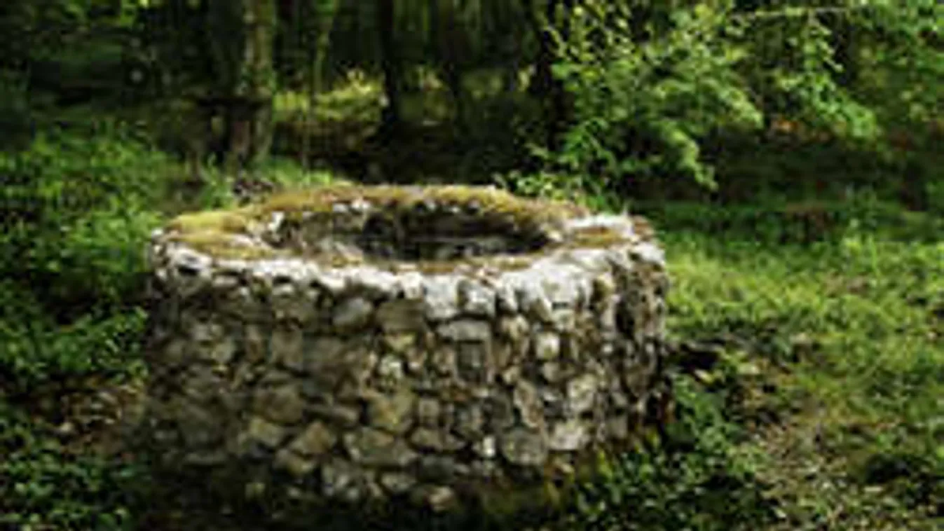 Brutális gyilkosság: dögkút mellett ásták el az anyát