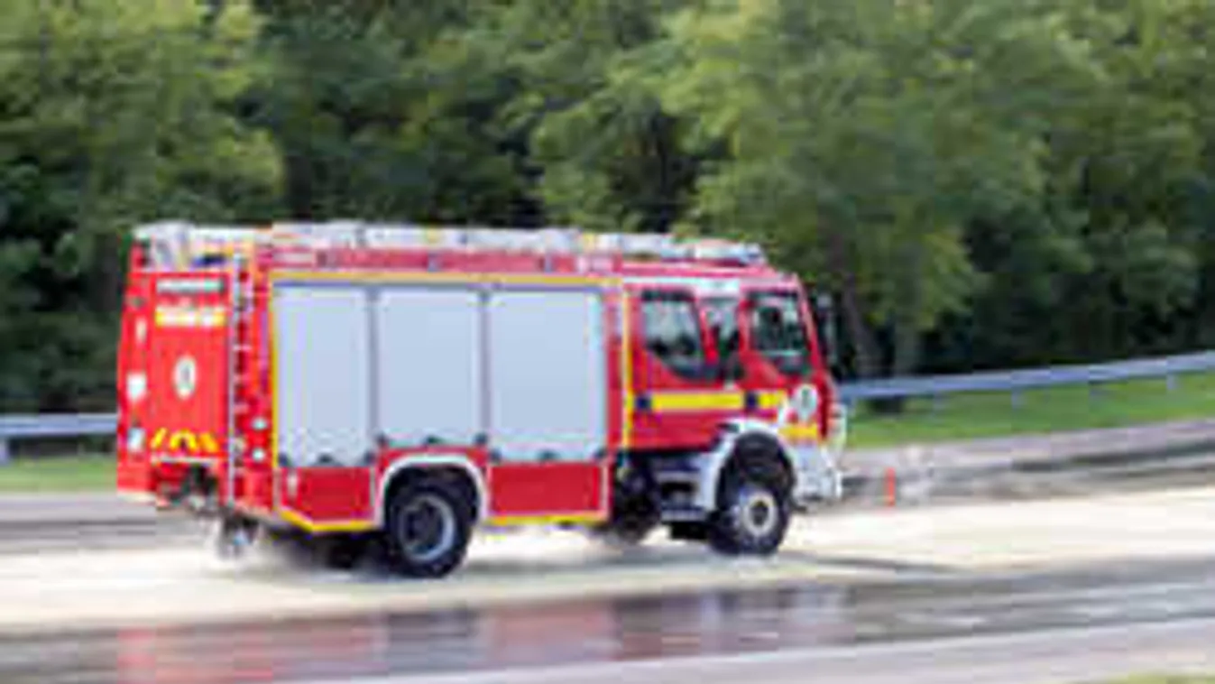 Megszólaltak a szirénák, egy papagáj okozott óriási felfordulást - videó