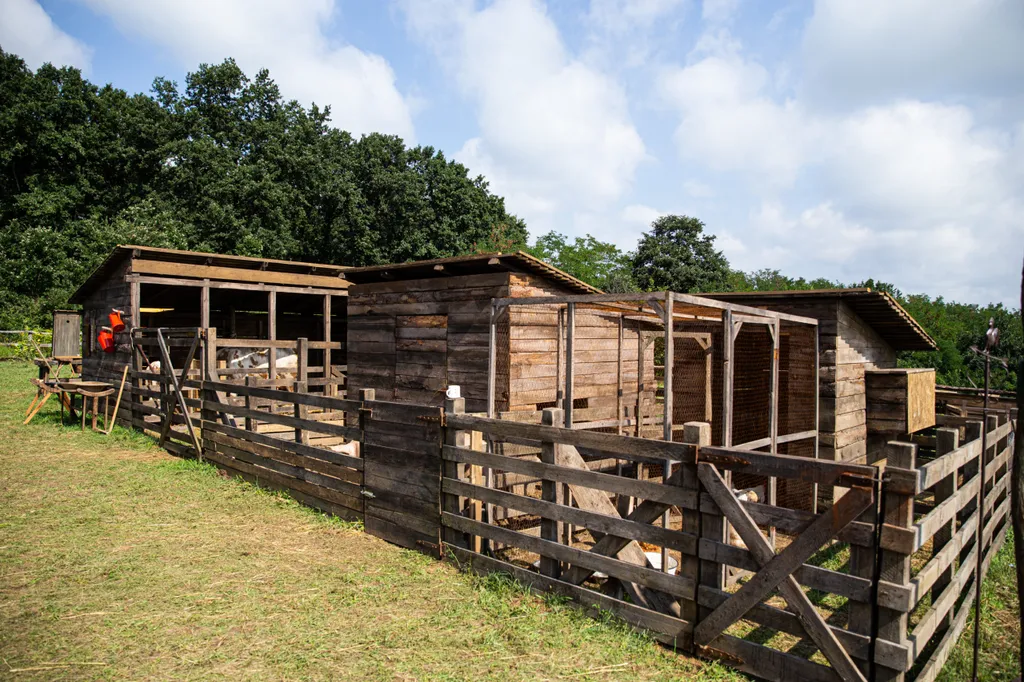 20200819_Farm_VIP_sajtobemutato_29_KM_RP