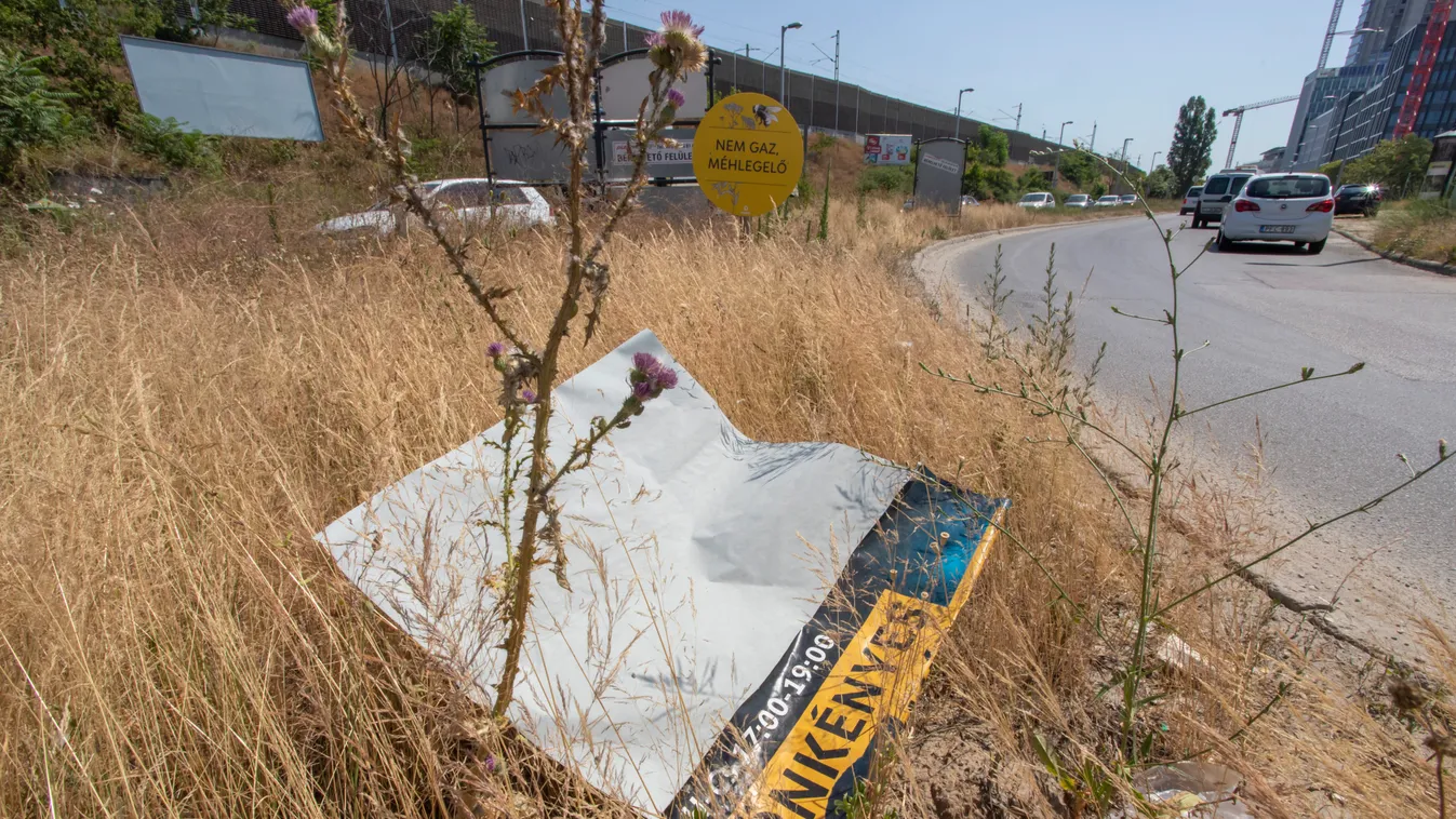 Méhlegelő, birkanyáj – Karácsonyék mindent kitalálnak, hogy ne kelljen nyírni a füvet