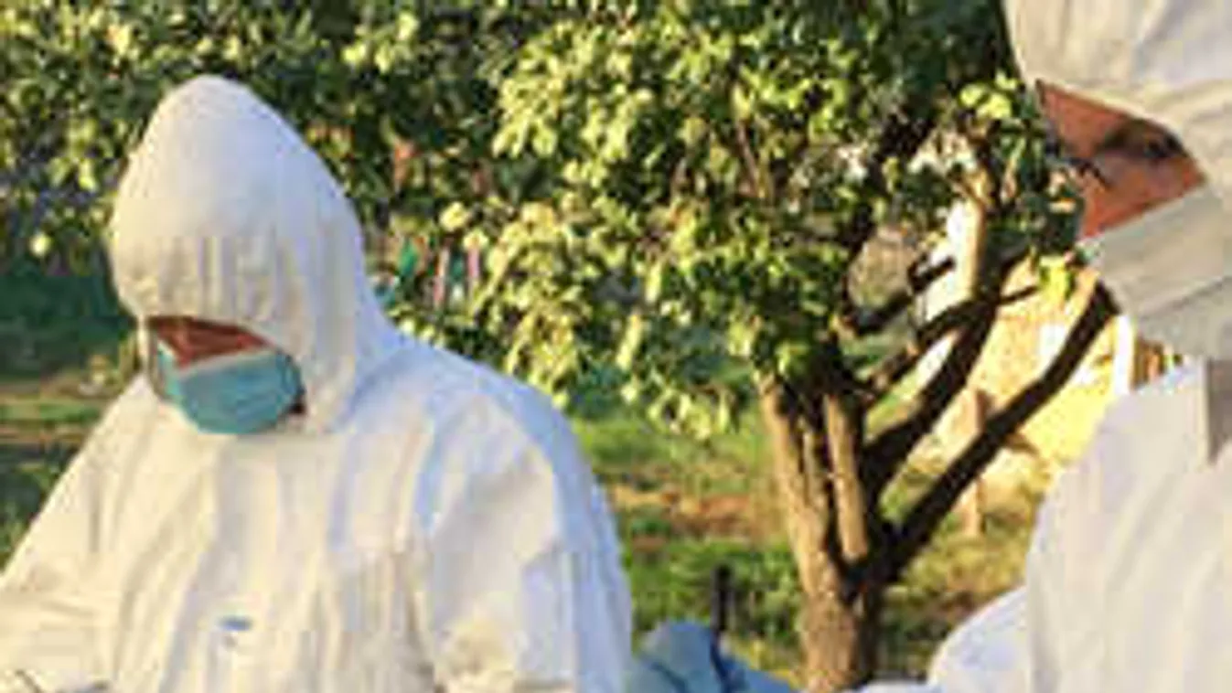 Helyszíni felvételek a várpalotai kettős gyilkosságról, így fogták el a tettest