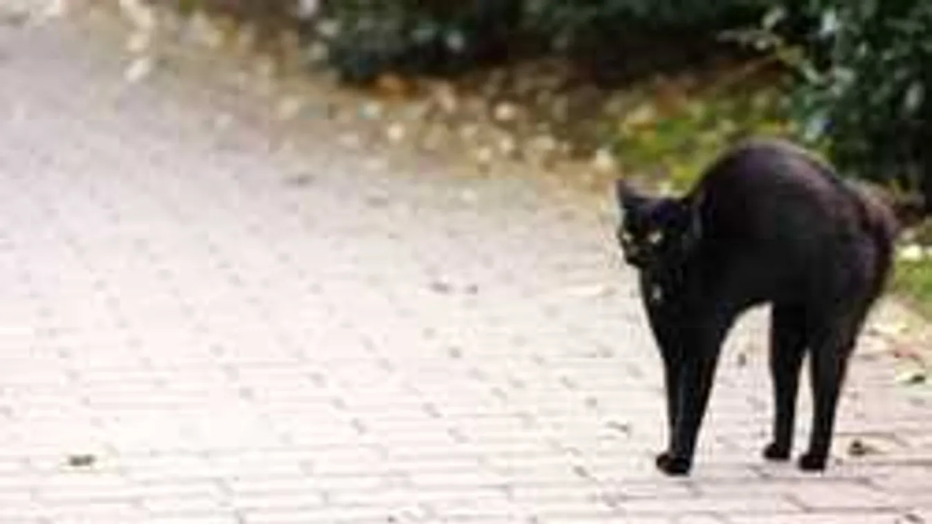 Péntek 13: A harmincas magyar nők hisznek benne leginkább