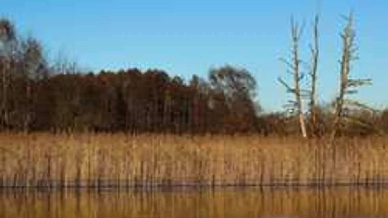 Riadalom a bajai strandon, két gyerek is elmerült játék közben