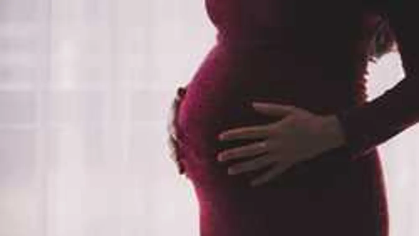 Teljesen bekattant a képviselőnő: A parlamentben akar szülni