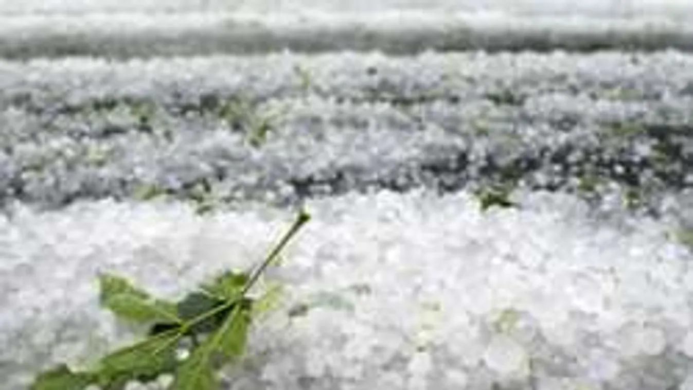 Vigye fedett helyre autóját! Jégeső lesz!