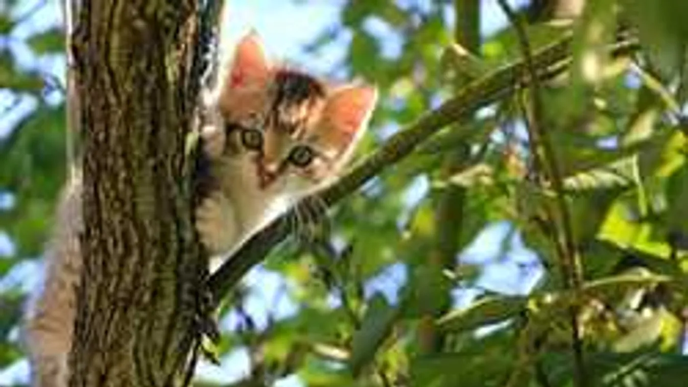 Durva meglepetéseket tartogat a hét, eddig élvezhetjük a meleget