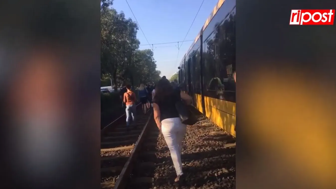 Ismét elesett Budapest közlekedése: a síneken kénytelenek sétálni az emberek – videó