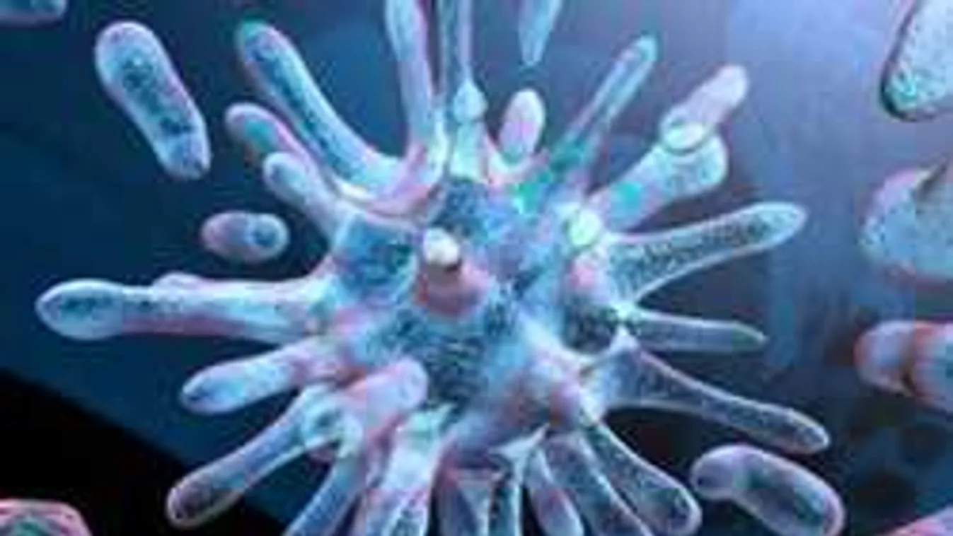 A tbc eddig nem látott fajtáját hozták be a migránsok Európába