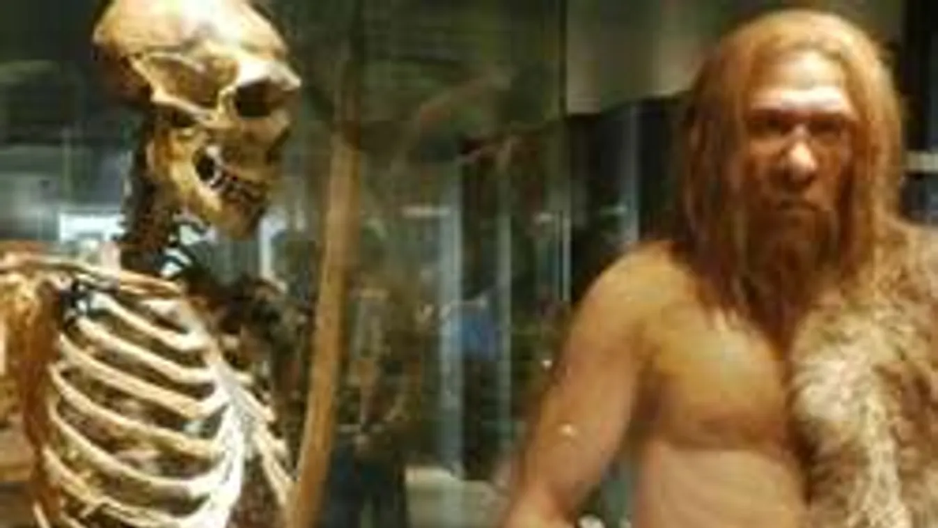 Kiderült, miért haltak ki a neandervölgyi emberek!