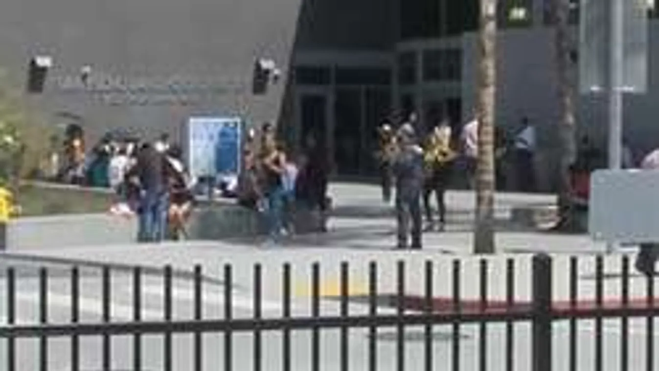 Bőröndben akarták a kislány holttestét átcsempészni a határon