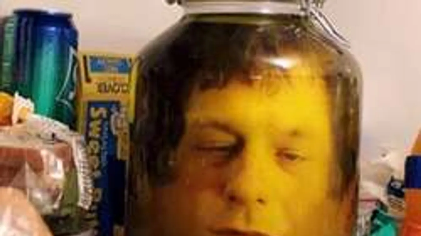 Emberfej gurult a kertészek elé Vácon!