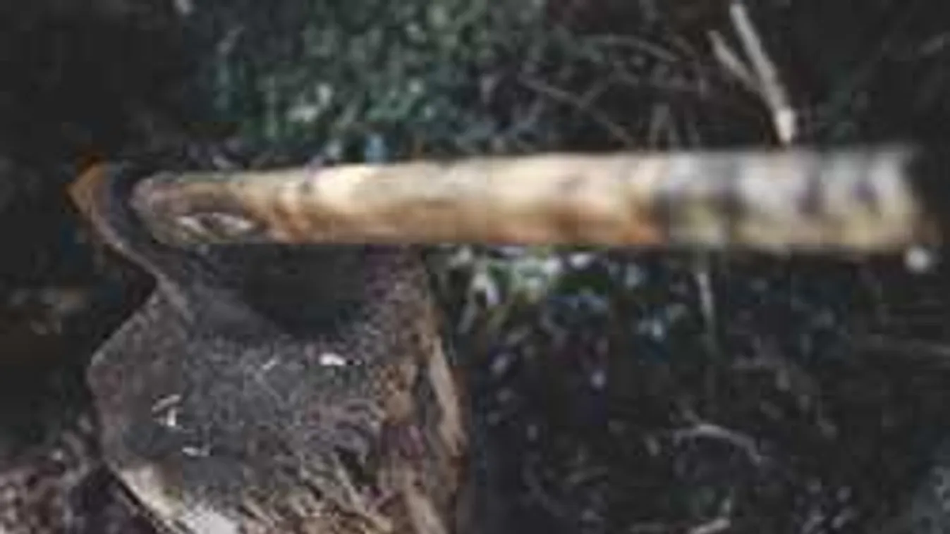 Felfoghatatlan, ami Pécsett történt: ott volt a helyszínelésen a gyilkos is, de nem tűnt fel