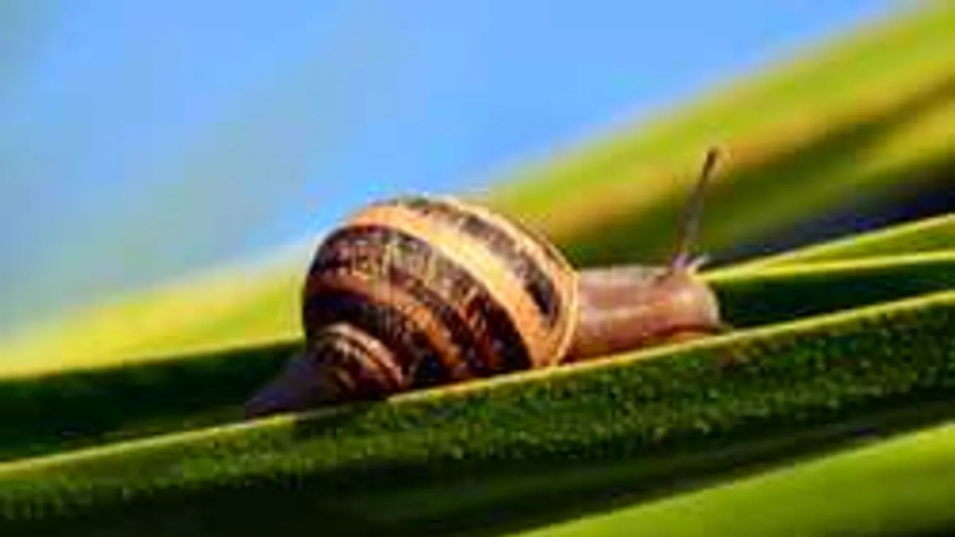 Fordulat az időjárásban, hatalmas változást hoznak a következő napok