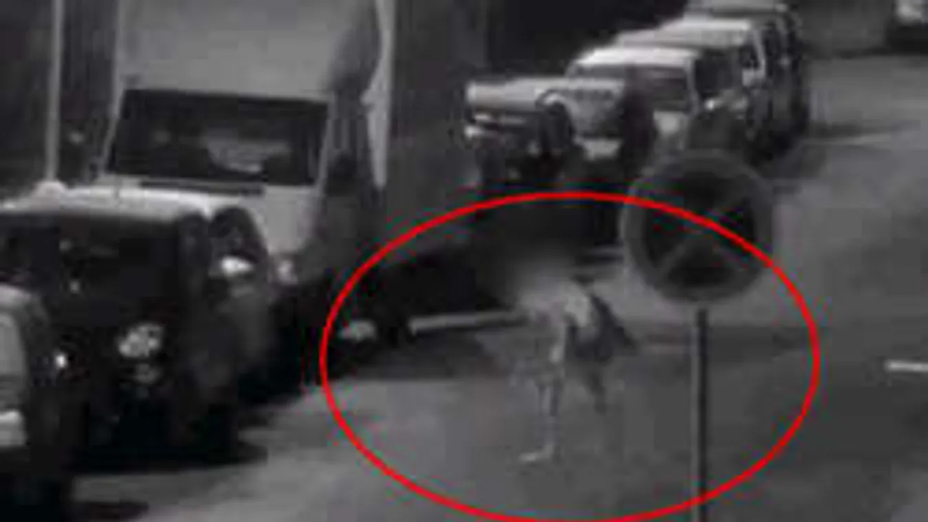 Pucér farkasember támadt a rendőrökre Csehországban!