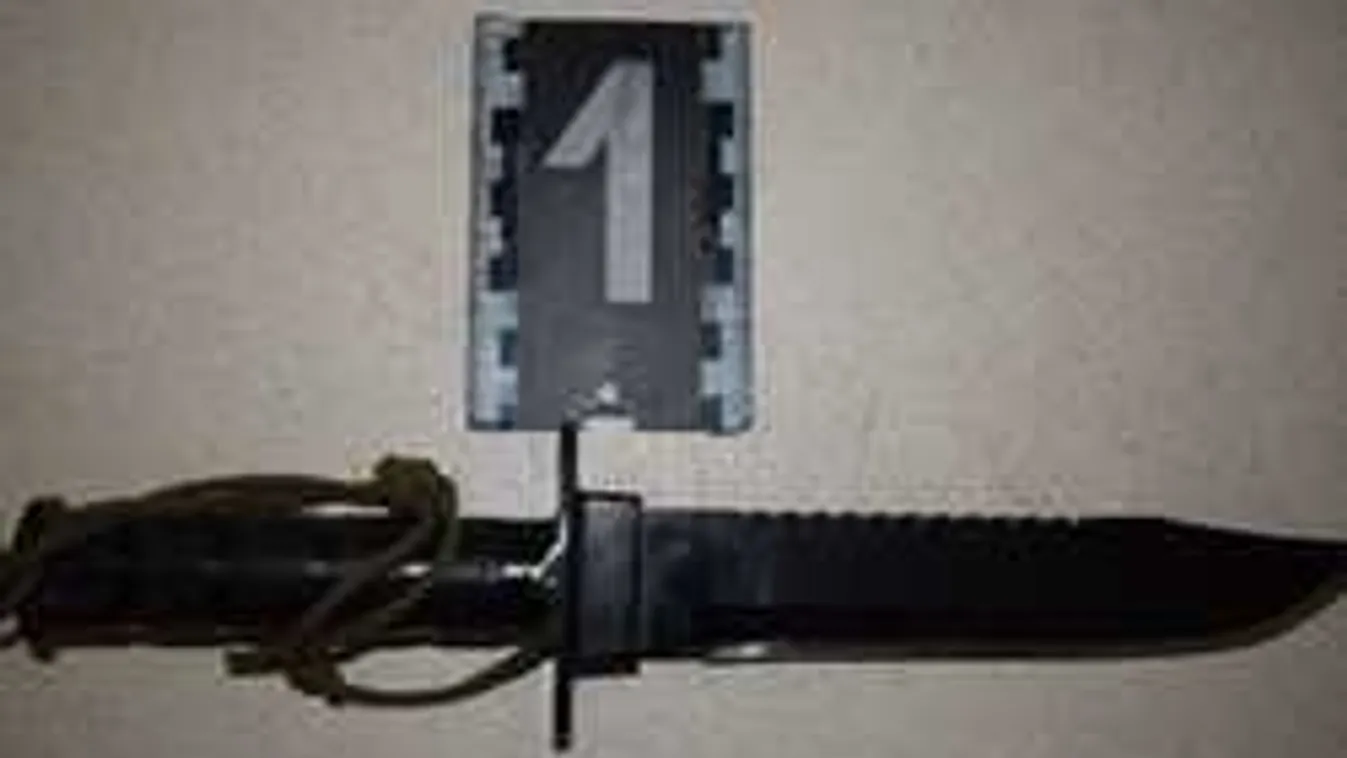 Félelmetes jelenetek a győri munkásszállón: késsel rontott be egy férfi