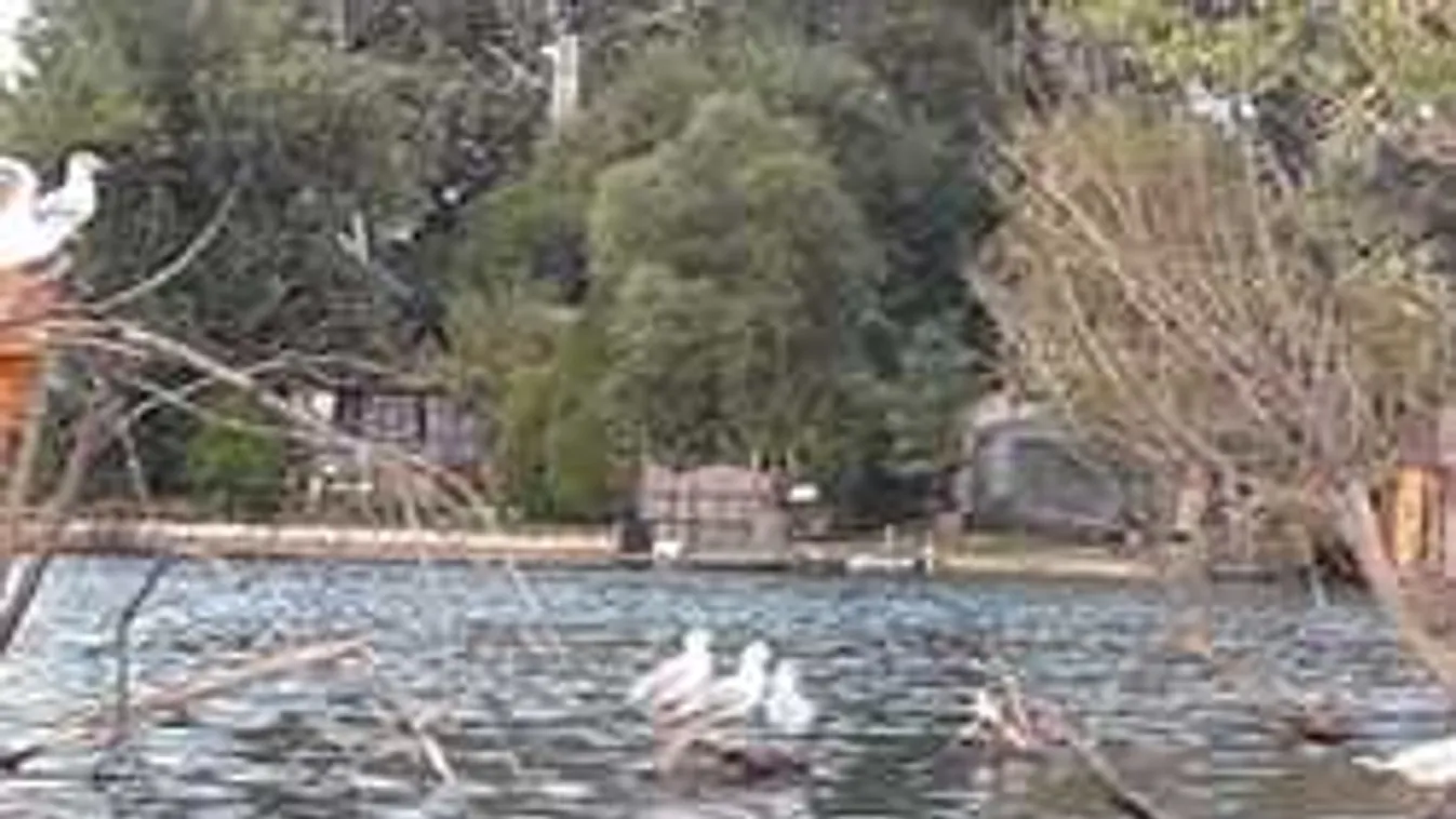 Nem hiszed el, mit emelt ki a csepeli kavicsbányatóból a nyugdíjas férfi