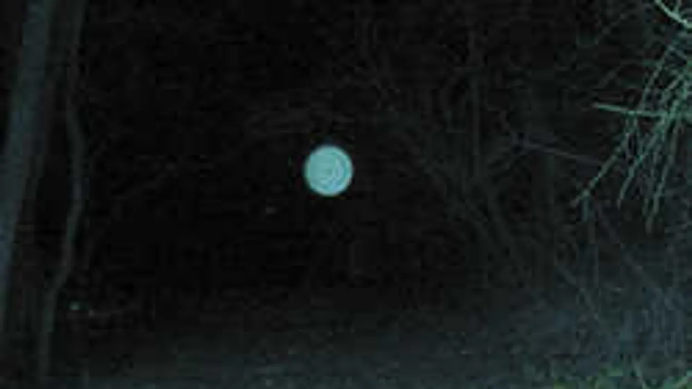 Hátborzongató dolgot rögzített éjszaka egy vadfigyelő kamera