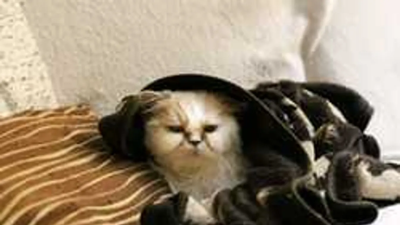 Vészjelzést adtak ki: nem várt idő csap le ránk hétvégén