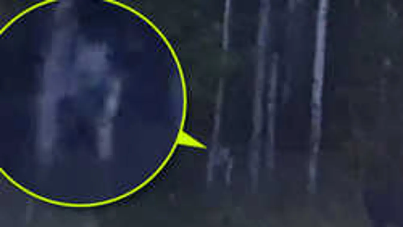 Ismeretlen lényt videóztak a kanadai vadonban, nem tudják mi lehet