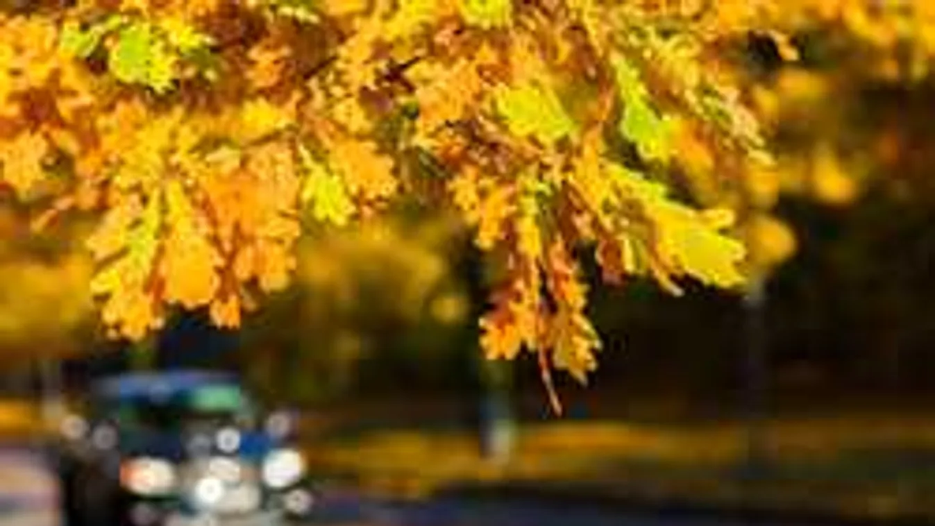 Öt szakaszon újult meg Borsodban a 3-as főút