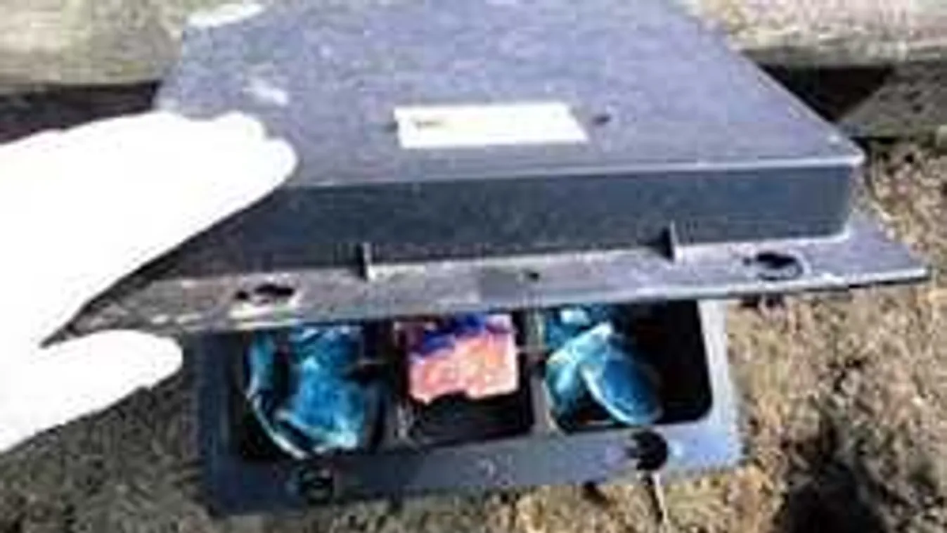 Megkezdődhet Budapesten az intenzív patkányirtás