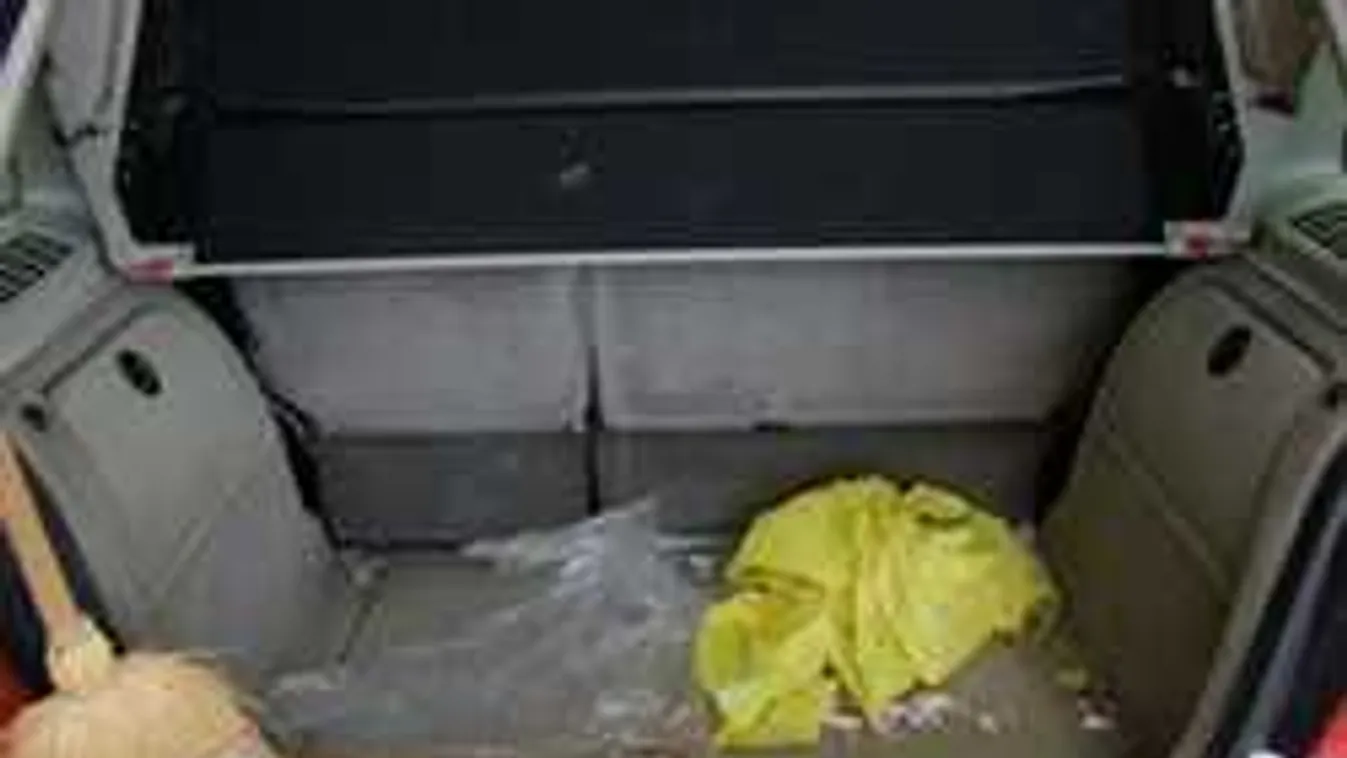 Így mentették meg a rendőrök a 31 csomagtérbe zárt kiskutya életét