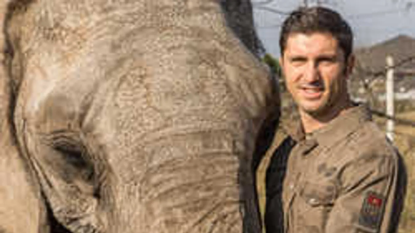 Gyermekként elefánttal játszott a TV2 zsűritagja