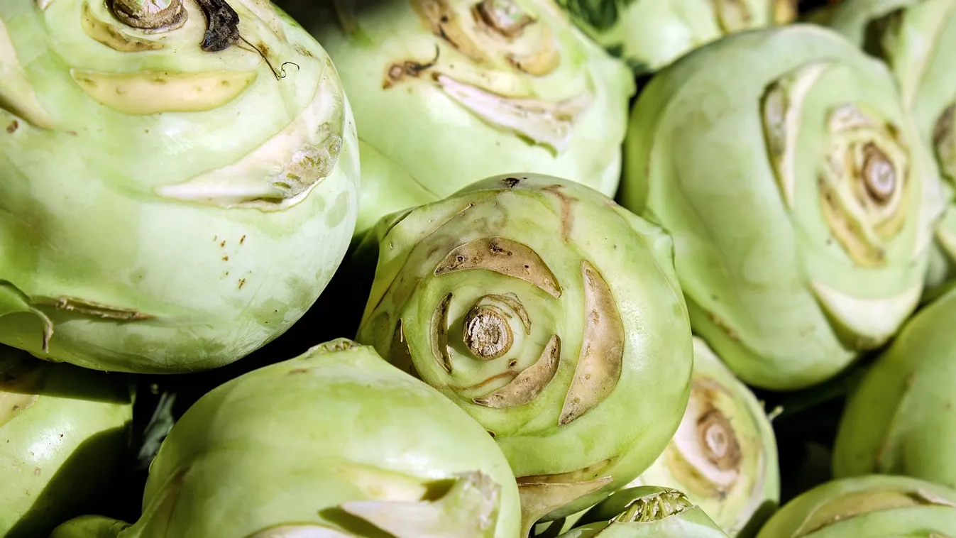 Gigantikus karalábészörny nőtt a magyar háziasszony kertjében