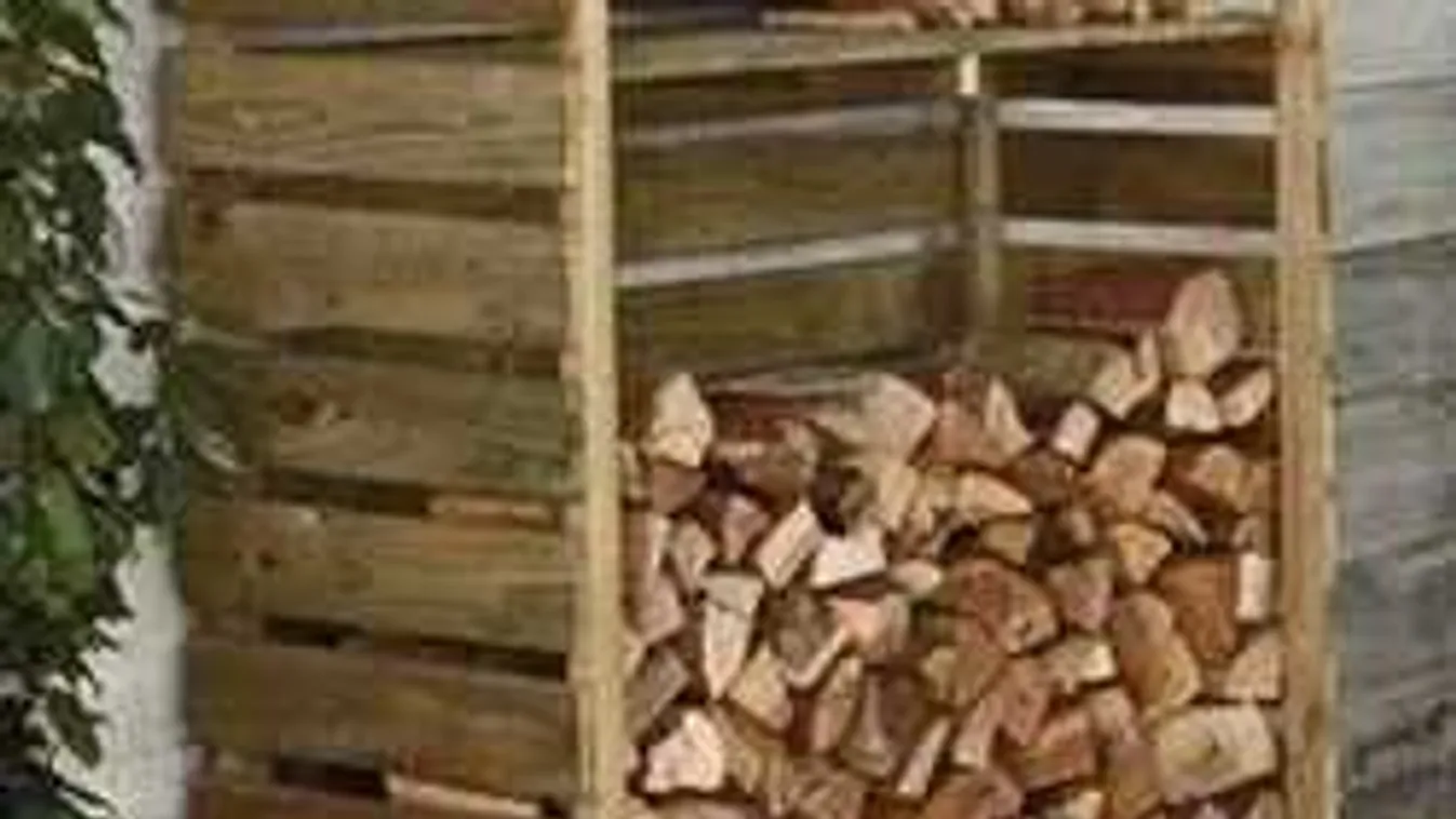 Fokozottan ellenőrzik a tűzifa-kereskedőket a hatóságok