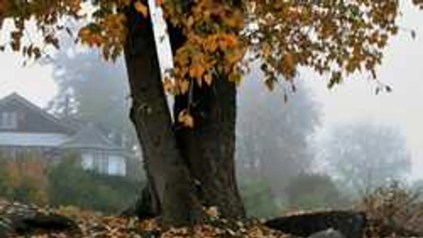 Dermesztő hideggel indulnak a reggelek, mutatjuk, mikor esik először hó