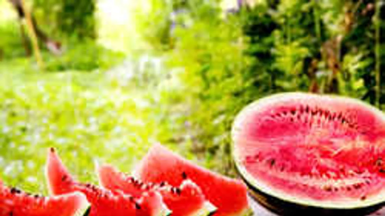 Ez történik a hazai dinnyével, végre örülhetnek a magyarok