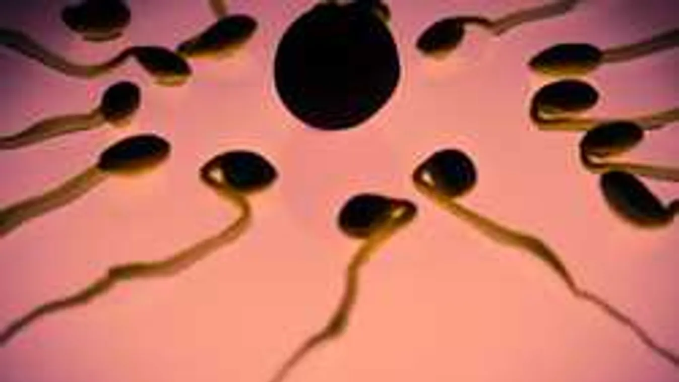 Különös dolgot találtak a férfiak spermájában, nagy titokra adhat magyarázatot