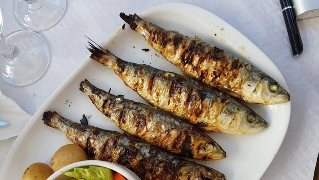 3+1 szuper szabadtéri program a nyárra