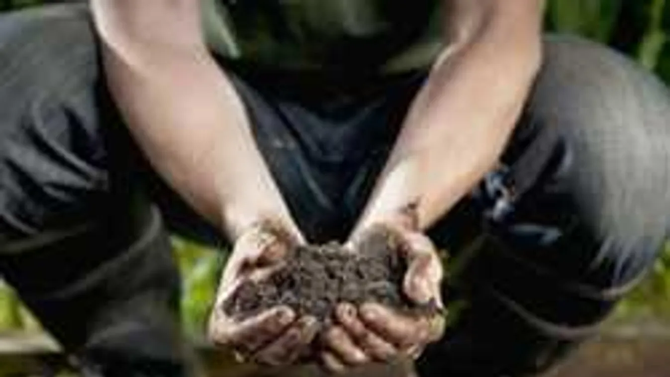 10 szuper ötlet, hogy használd a szódabikarbónát a kertben