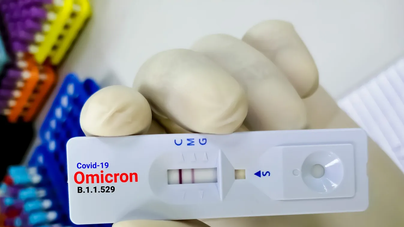 10 fontos tény az omikronról, a hazai esetszámok 90 százalékáért felelős mutációról