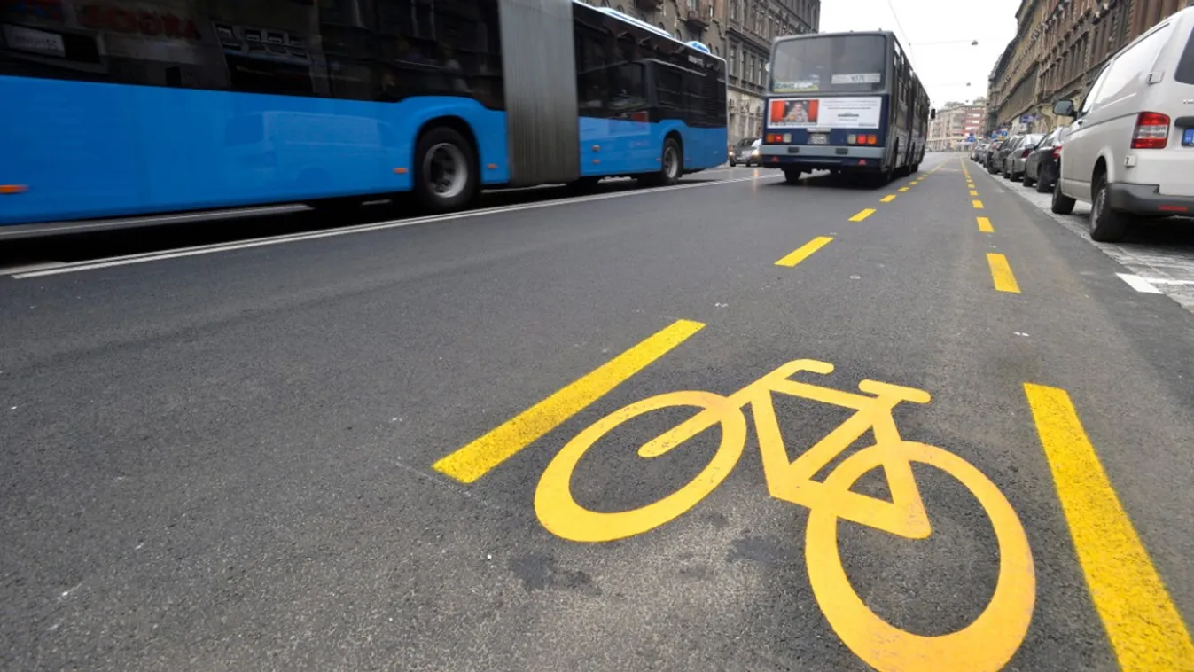 Videó: a kutya sem használja a Karácsony-féle biciklisávokat Budapest belvárosában!