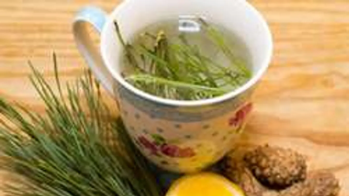 Ki ne dobd a karácsonyfád! Fantasztikus vitaminforrás!